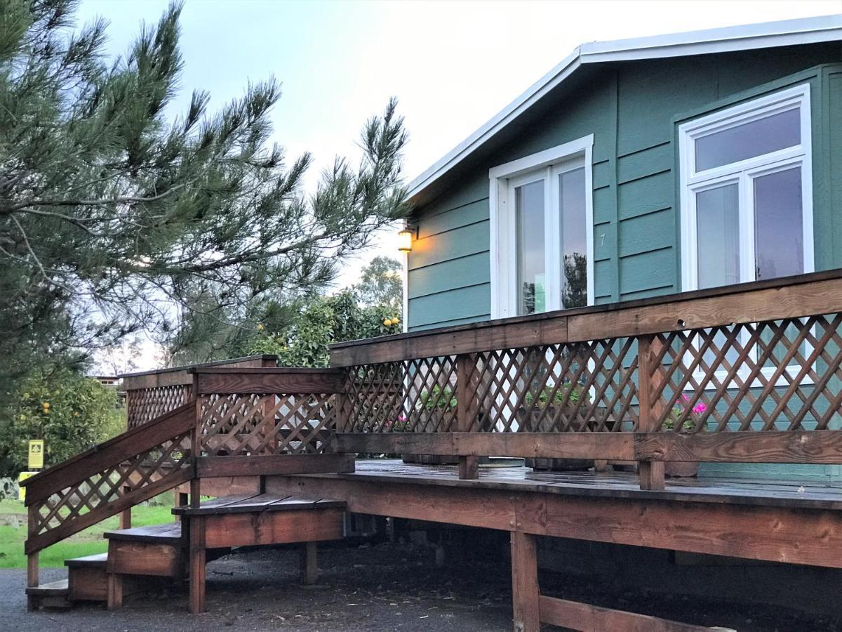 Casa Mayoral B&B Pet Friendly Valle de Guadalupe Eksteriør bilde