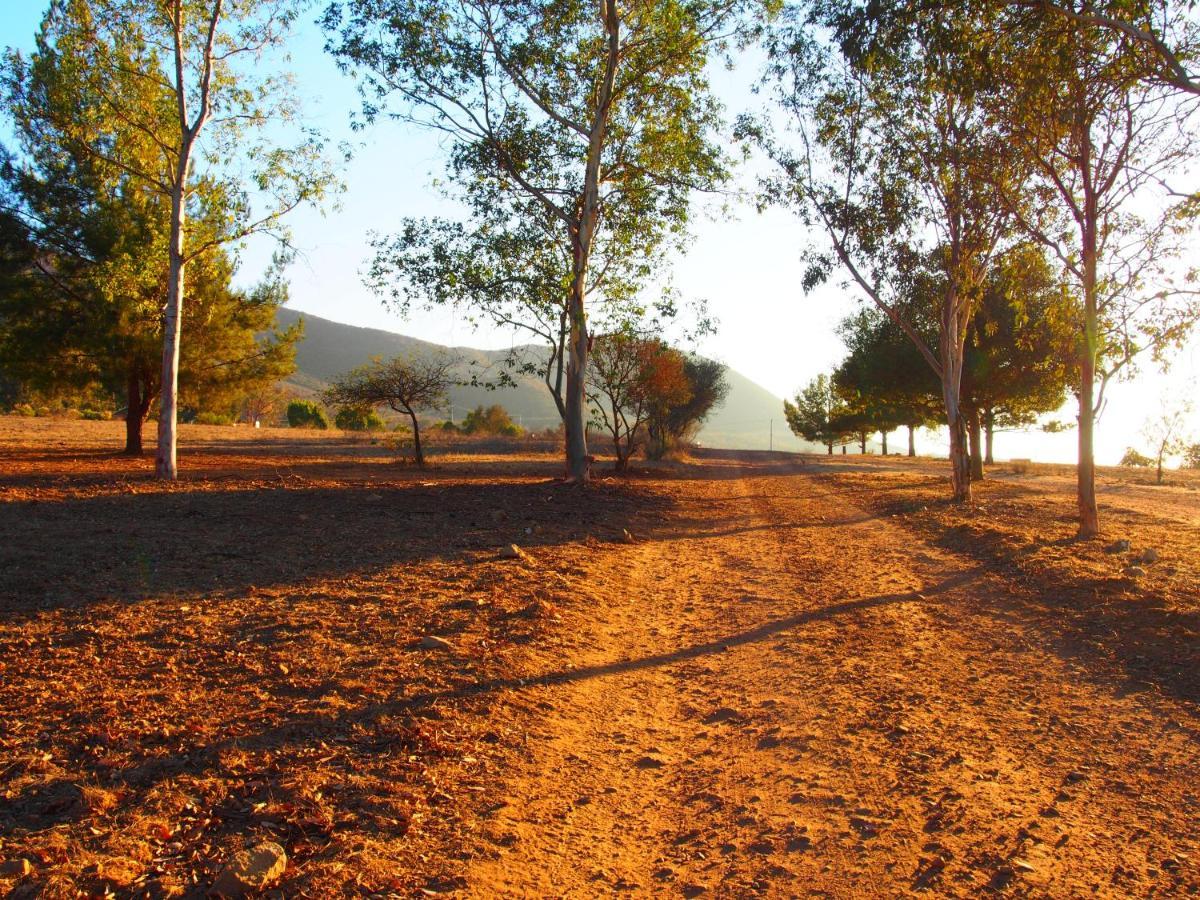 Casa Mayoral B&B Pet Friendly Valle de Guadalupe Eksteriør bilde