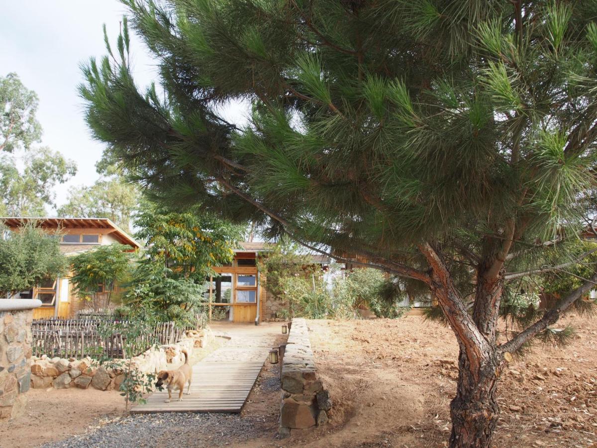 Casa Mayoral B&B Pet Friendly Valle de Guadalupe Eksteriør bilde