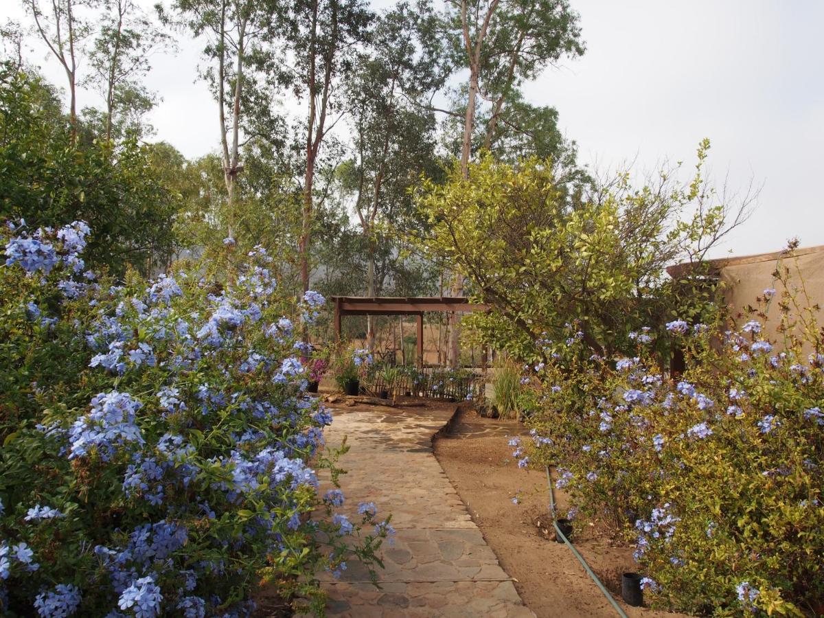 Casa Mayoral B&B Pet Friendly Valle de Guadalupe Eksteriør bilde