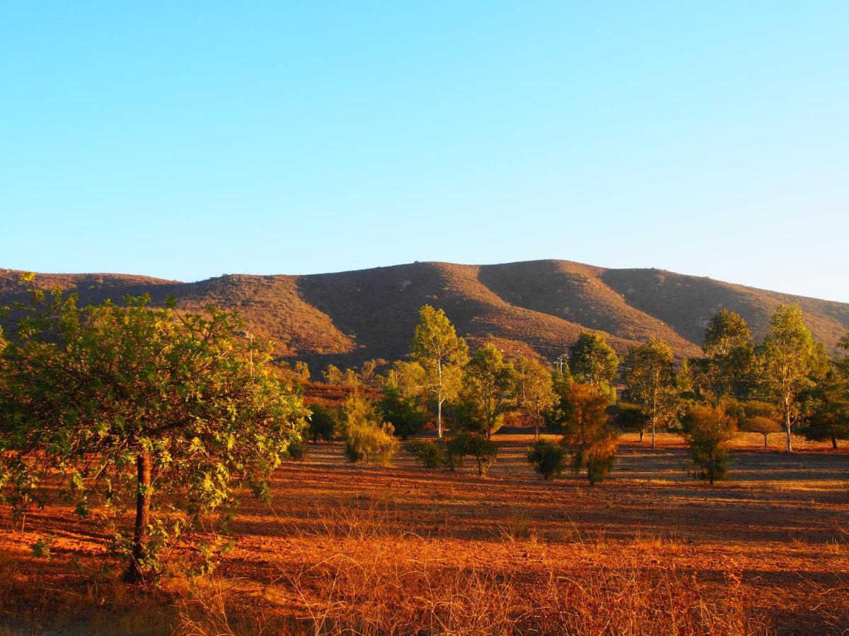 Casa Mayoral B&B Pet Friendly Valle de Guadalupe Eksteriør bilde