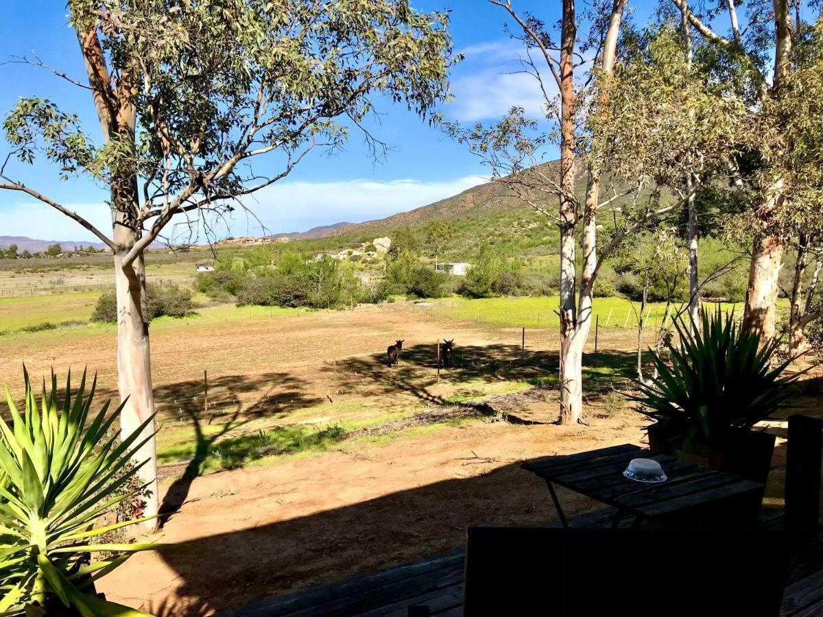 Casa Mayoral B&B Pet Friendly Valle de Guadalupe Eksteriør bilde