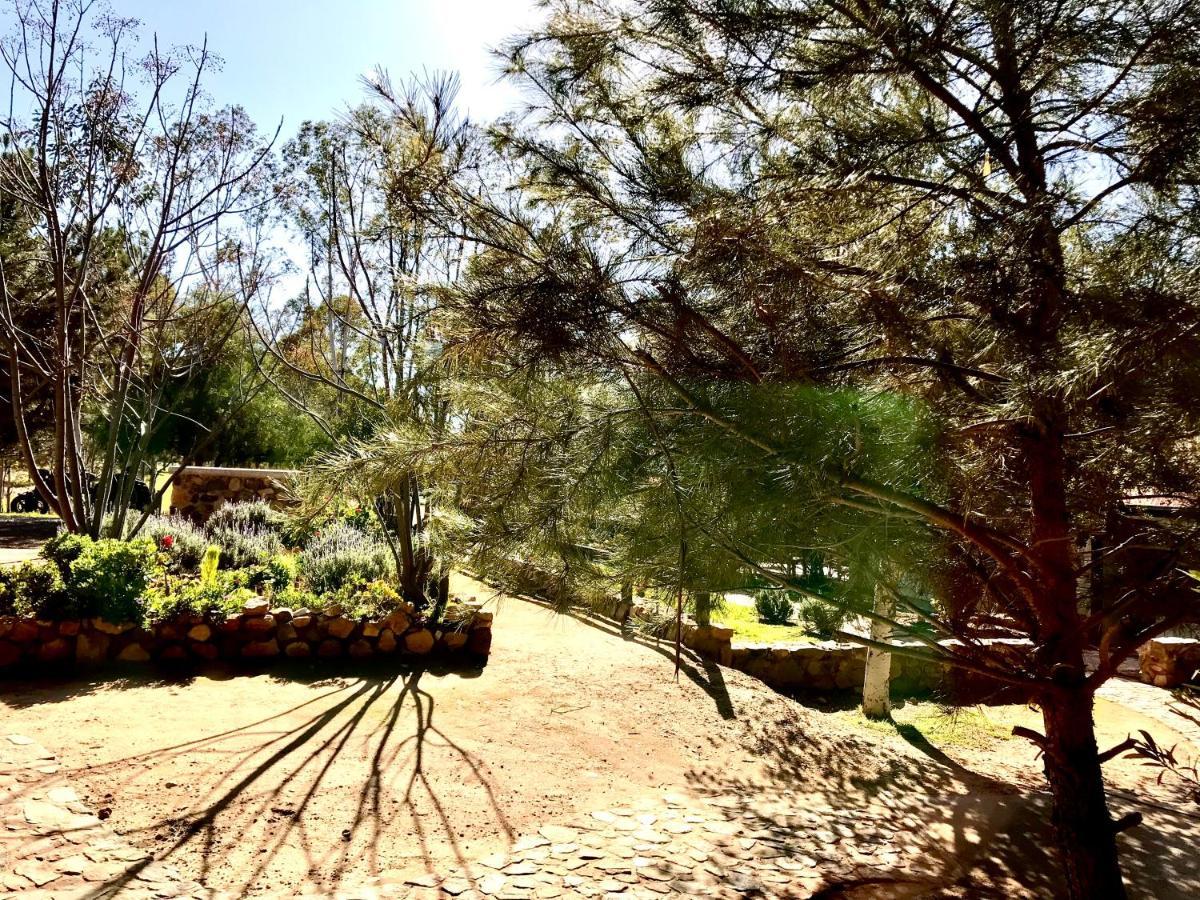 Casa Mayoral B&B Pet Friendly Valle de Guadalupe Eksteriør bilde