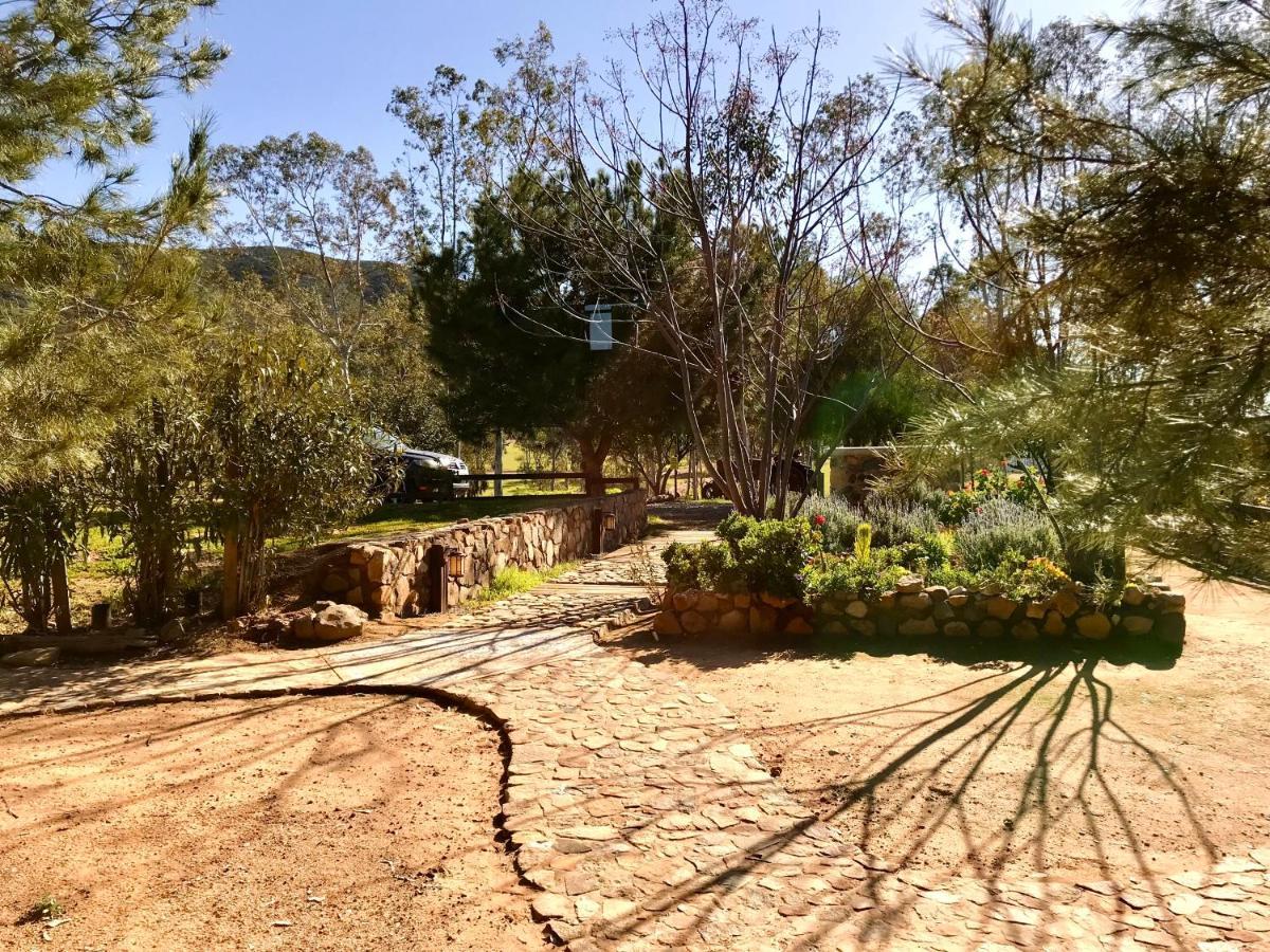 Casa Mayoral B&B Pet Friendly Valle de Guadalupe Eksteriør bilde