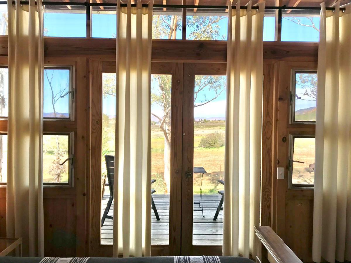 Casa Mayoral B&B Pet Friendly Valle de Guadalupe Eksteriør bilde