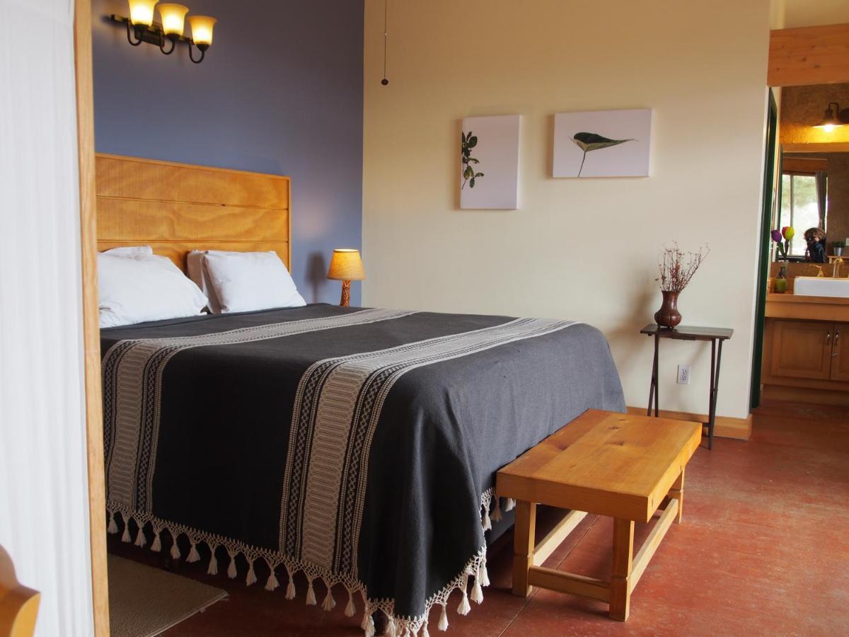 Casa Mayoral B&B Pet Friendly Valle de Guadalupe Eksteriør bilde